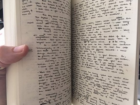 Interior pages, The Controllers, by Paul Kane