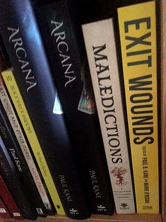 Shelfie: featuring Exit wounds, edited by Paul B. Kane and Marie O'Regan