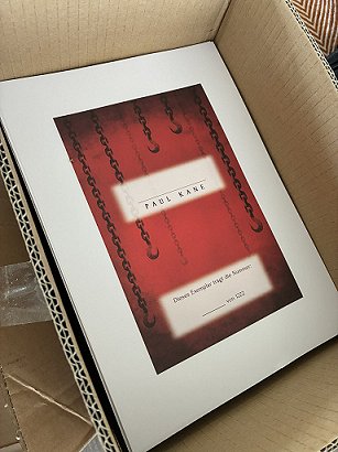 photograph showing a cardboard box containing the signing sheets for the German Edition of Sherlock Holmes and the Servants of Hell by Paul Kane