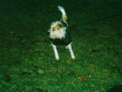 Mitzi