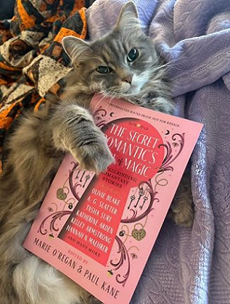 photograph of a grey and white cat lying on a purple cloth and holding a copy of The Secret Romantic's Book of Magic, edited by Marie O'Regan and Paul Kane. 